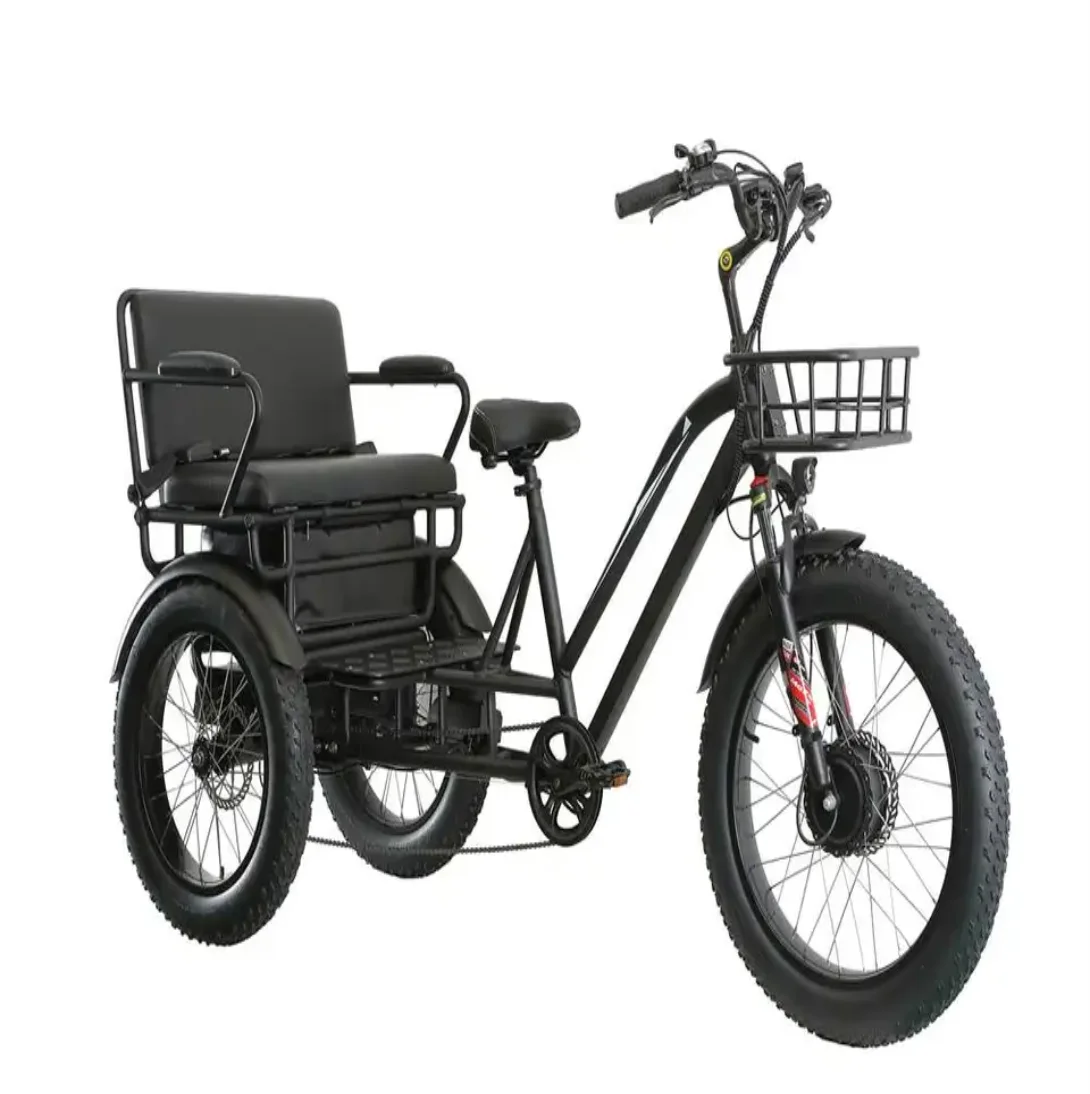 Tricycle Electric Trike heat insulation 20 Inch 750W Motor Fat Tire 3 Wheel E Bike Tricycle