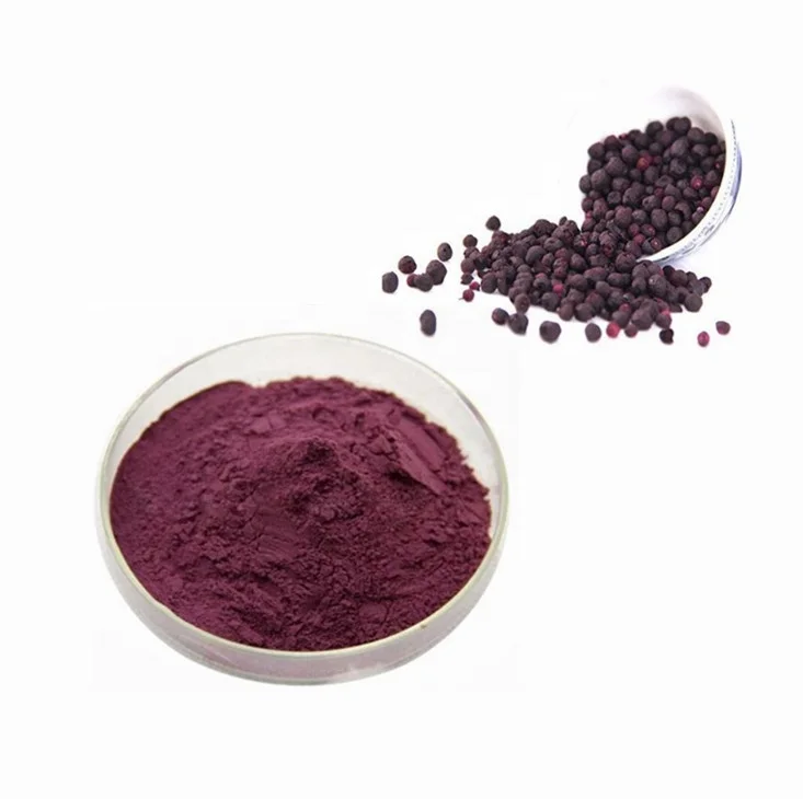 Wholesale Maqui Fruit Powder Organic 98% Maqui Berry Extract Powder