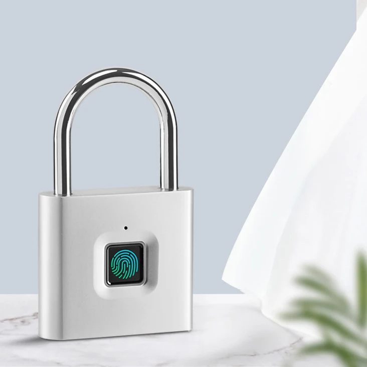 
 Нержавеющая сталь Smart считыватель отпечатков пальцев шкафчик замок замки для тренажерного зала с Отделом дя багажа сумки шкафы  