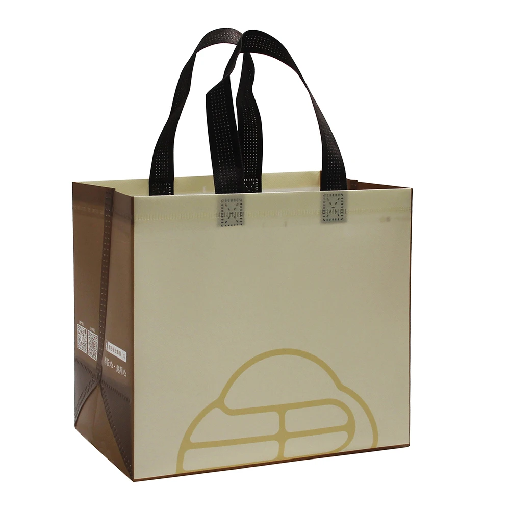 eusable Packaging Polypropylene Laminated Non Woven Shopping Tote Rpet Pp Bag With Custom Logo