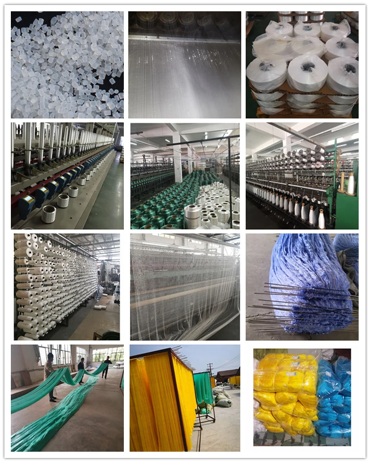 knoed net process
