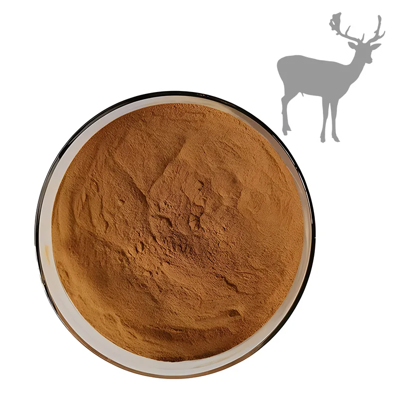 Hot sale and wholesale Top Quality natural 10:1 deer antler extract powder