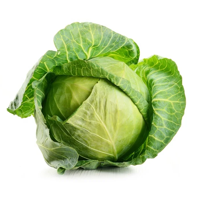 
Fresh Cabbages 