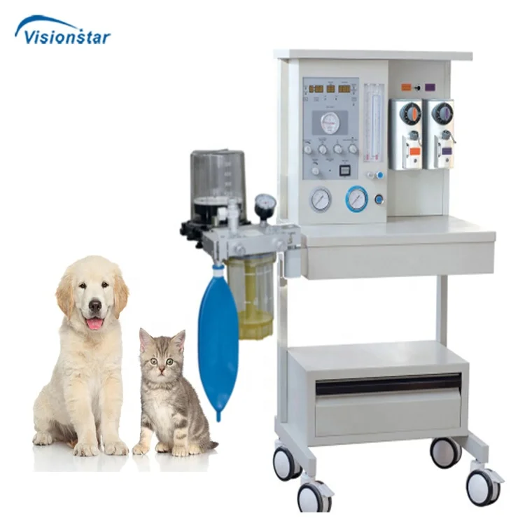 Medical Veterinary Anesthesia Device Animal Anesthesia Machine with Built-in Ventilator