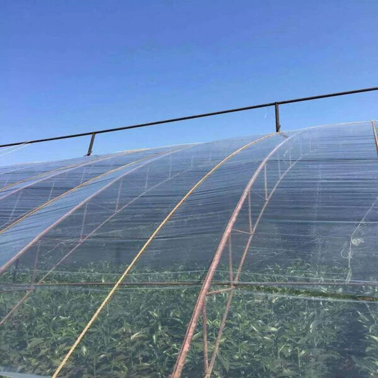 GF80 200 Micron Plastic Greenhouse Covering Film For Fruit,Vegetables And Flowers