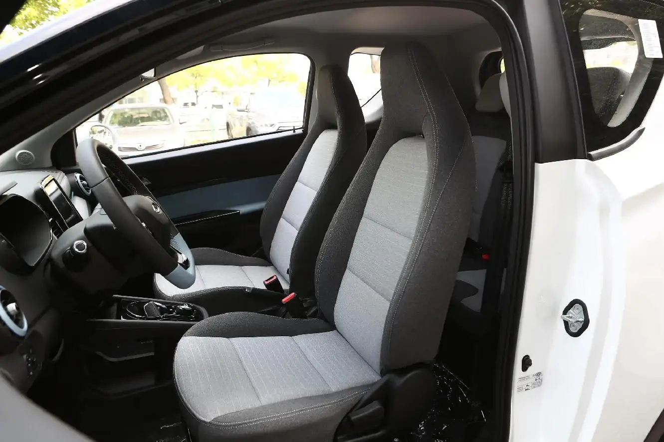 Qirui Little Ant New Energy Vehicle Pure Electric High Speed Long Range Mini Car New Energy Vehicle