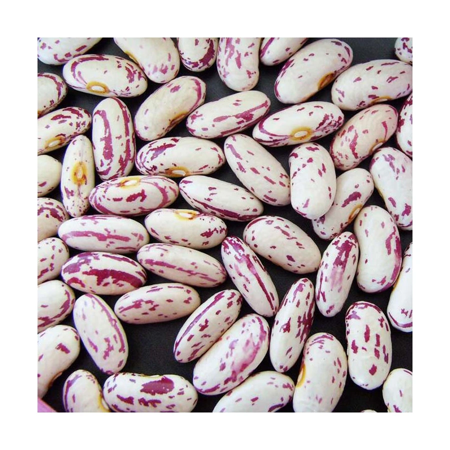 Wholesale Non-gmo Quality Attractive Price Beansdney Speckled Kidney Beans