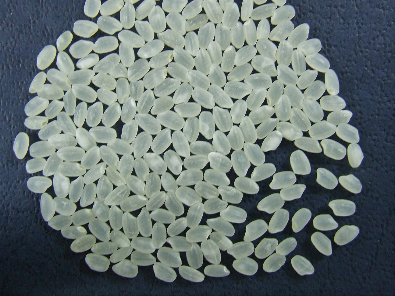 SHORT GRAIN NATURAL WHITE JAPONICA RIZ BROKEN 5% RICE for SUSHI ROLL JAPANESE CUISINES PRICE FROM FACTORY- WA 0084989322607