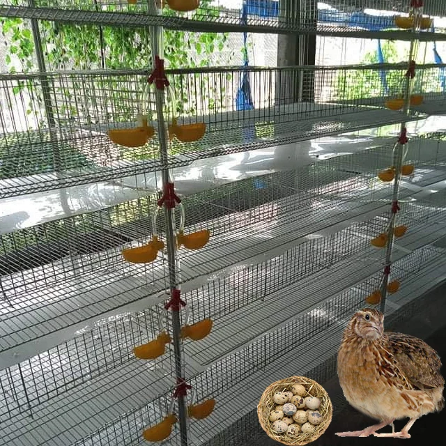 New Large Chicken Cages and Quail Cages for Sale Cages for Broiler Chicken