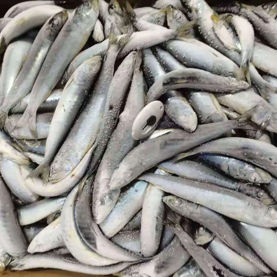 Frozen Seafood Sadine WR/HGT/Can