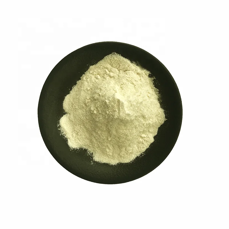 Freeze dried ginger powder High Quality freeze dried ginger/ lyophilized ginger