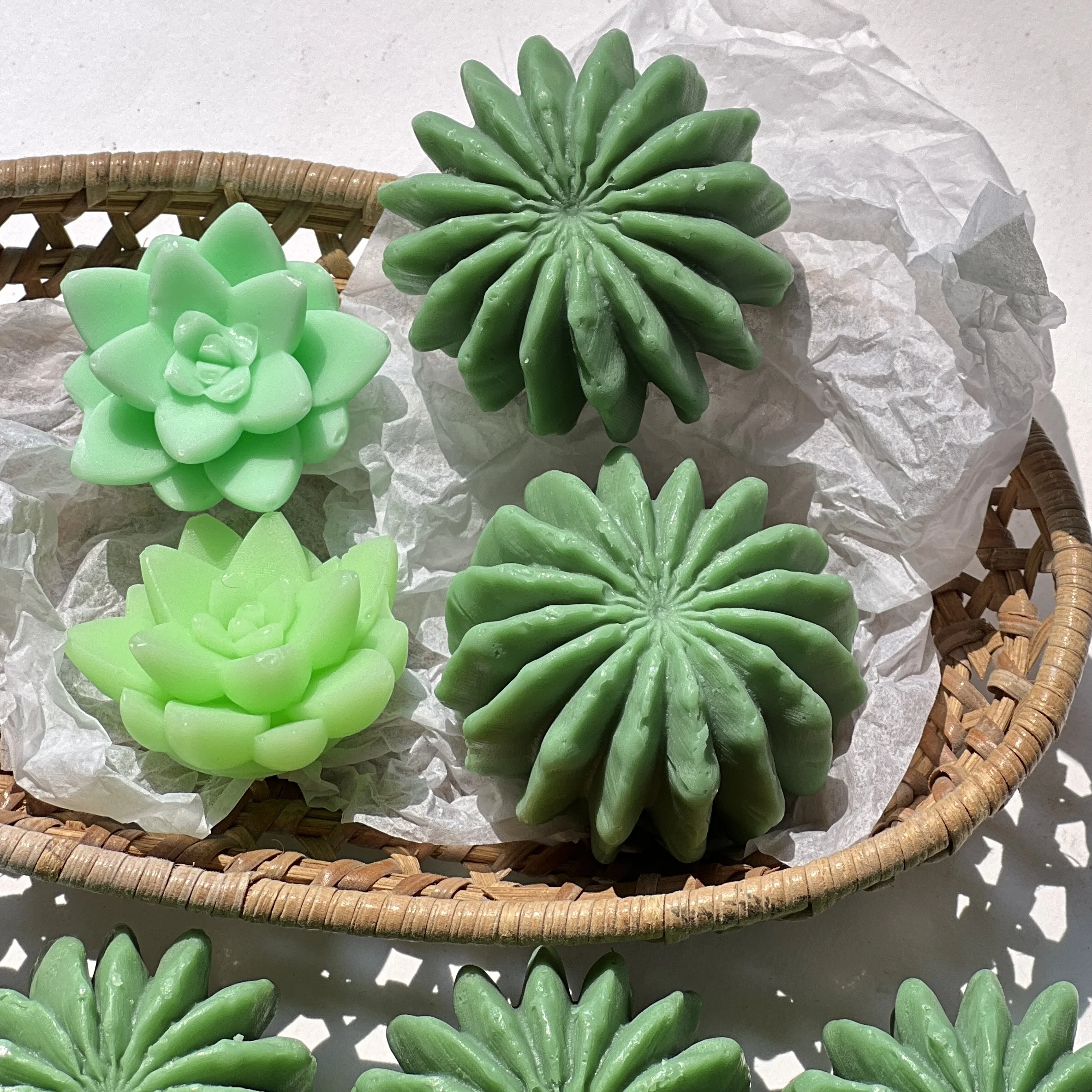 OEM Succulent Plants Shape Removal Pimple Pore Acne Aloe Vera Soap Olive Oil Moisturizing Glycerin Soap Base for Whitening