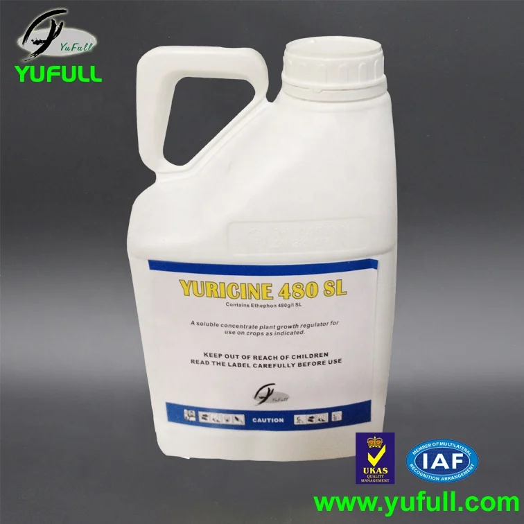 Ethephon 480G/L SL 40% SL 5% Paste PGR Plant Growth Regulator Rubber Tree growth promoter