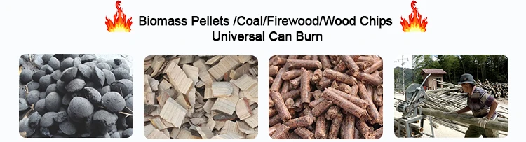 biomass steam generator01