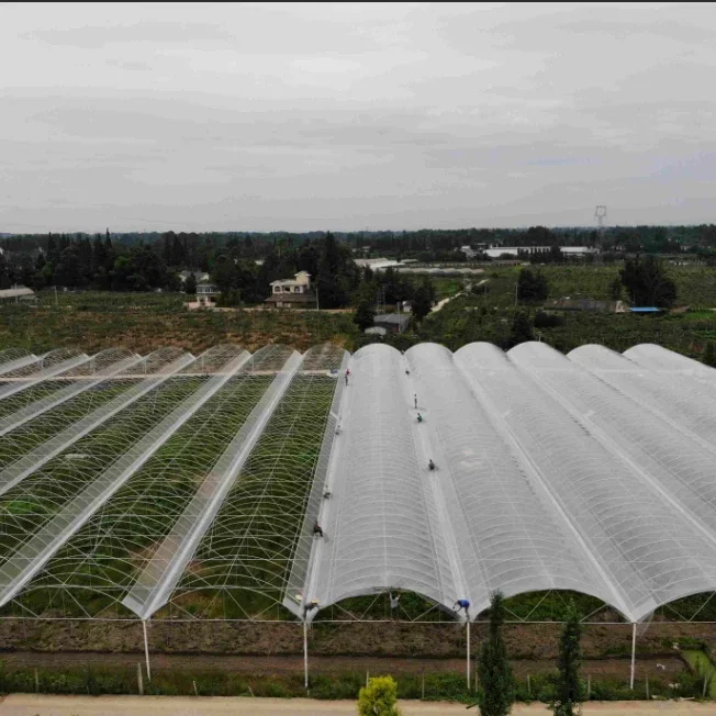 Cherry/Grape/blueberry planting shed  plastic greenhouse planting high tunnel rain shelter greenhouse