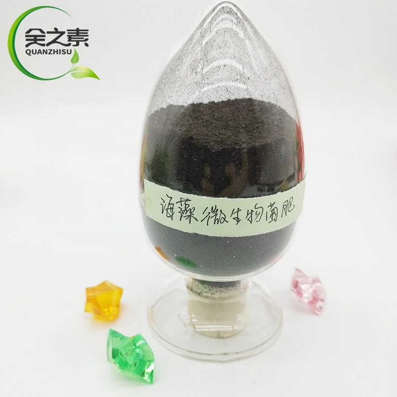 Water Soluble Fertilizer NPK 20-20-20 Seaweed Biofertilizer Organic Fertilizer for Agriculture Powder