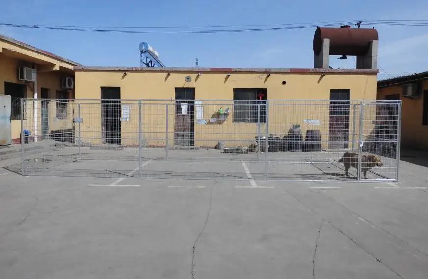 6x9.5x28.5ft dog pen .jpg