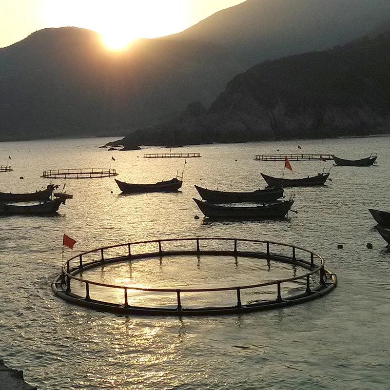 Aquaculture offshore fish cages deep water open ocean fish cage