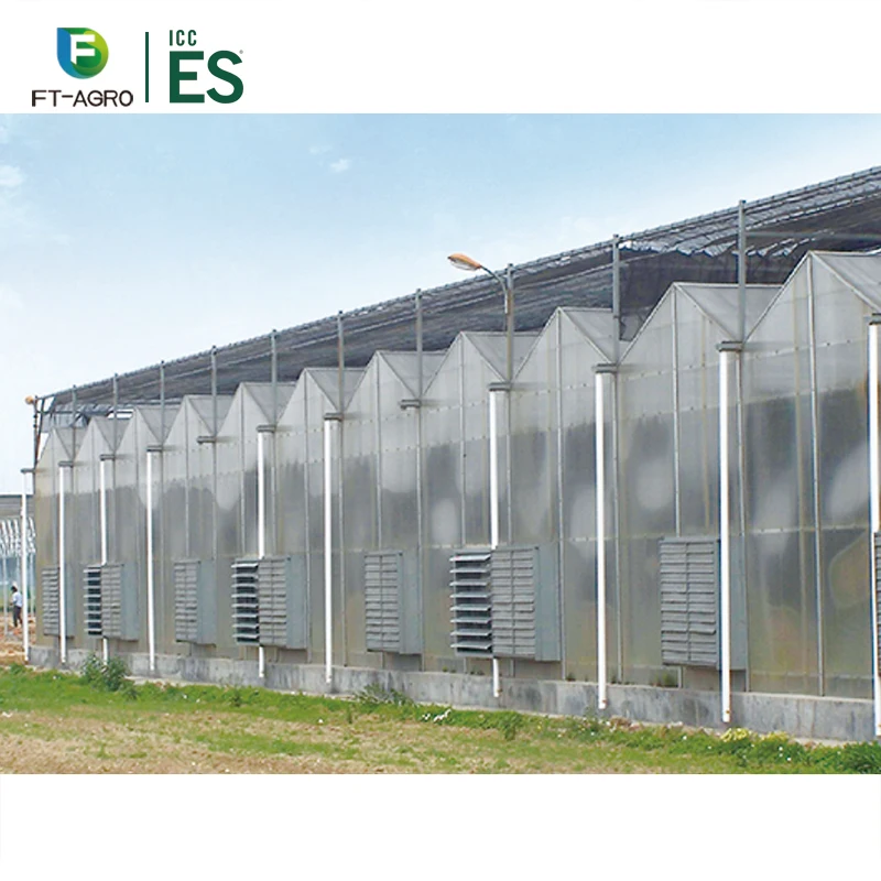 Factory Price PC Sheet Large Scale Growth  Multi Span Greenhouse Polycarbonate Sheet Greenhouse For Agriculture