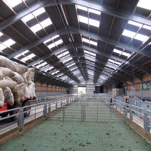
China supplier Automation cow shed Steel structural design cow barn cattle shed 