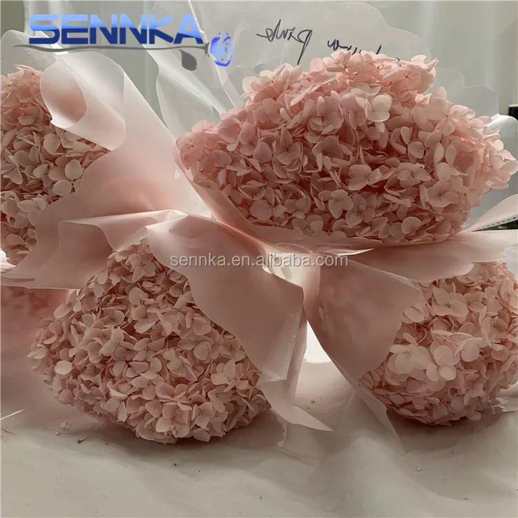 Best selling natural processing type preserved flowers Preserved Annabelle Hydrangeas