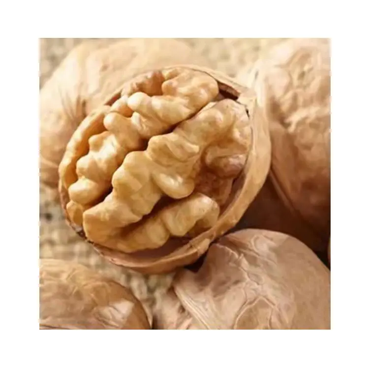 High Quality Thin Skin Raw Organic Grade A Walnut Kernels In Bulk
