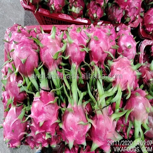 dragon fruit1.jpg