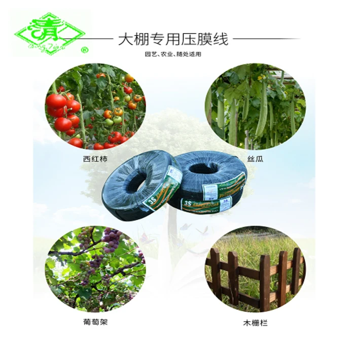 Anti-aging 300m Black Greenhouse Film Band  for Greenhouse