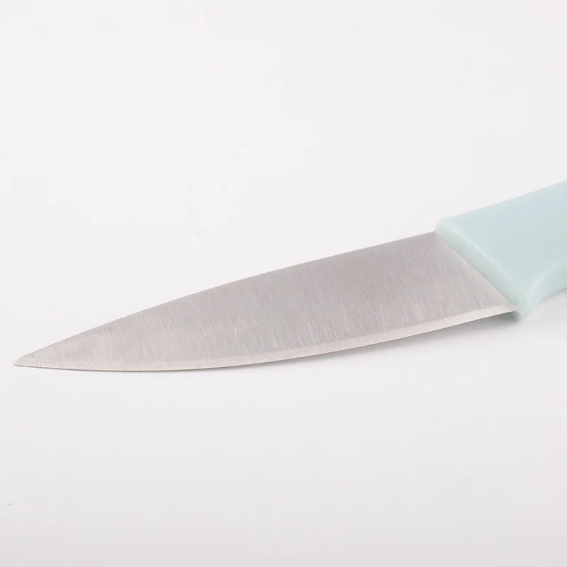 Stainless Steel Fruit Peeler Set Vegetable Cabbage Carrot & Potato And Fruit Peeler Knife