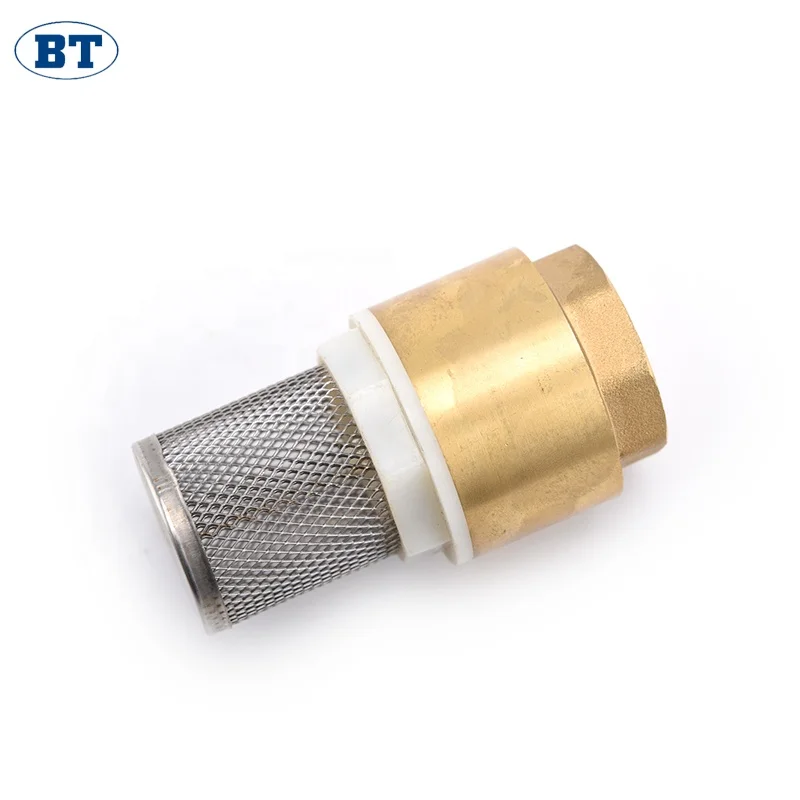 BT5003 China supplier online shop cheap price brass spring check valves with ss wall