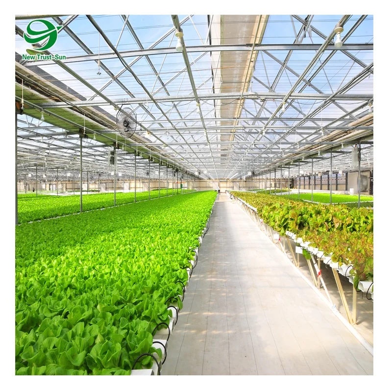 
Hot Sale Greenhouse Movable/ Ebb and Flood Rolling Benches/Seeds 