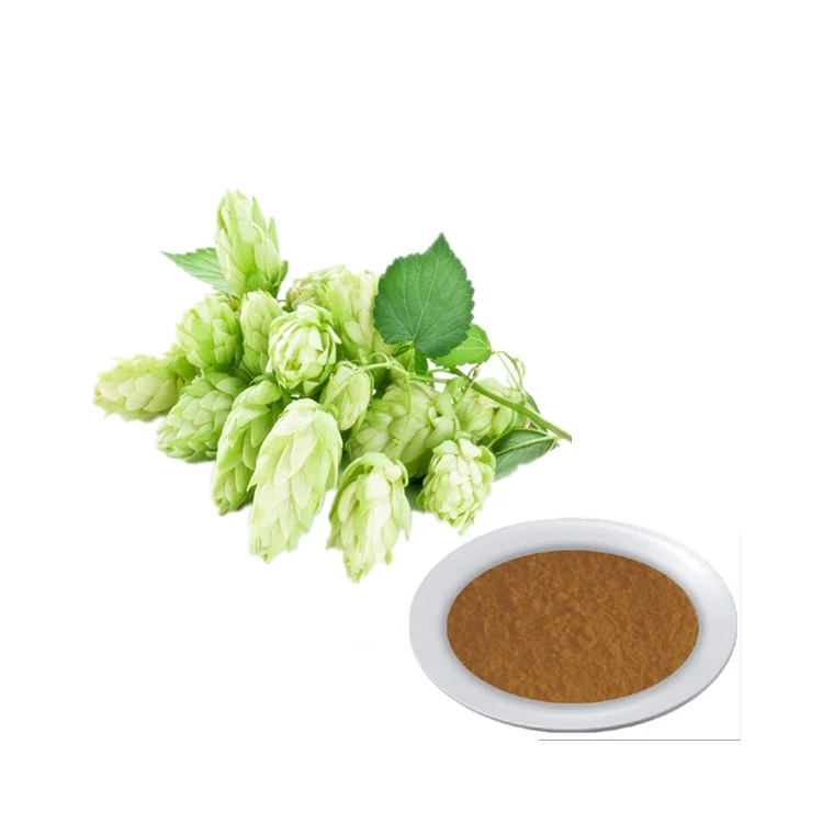 
Low wholesale prices Hops flower extract powder 