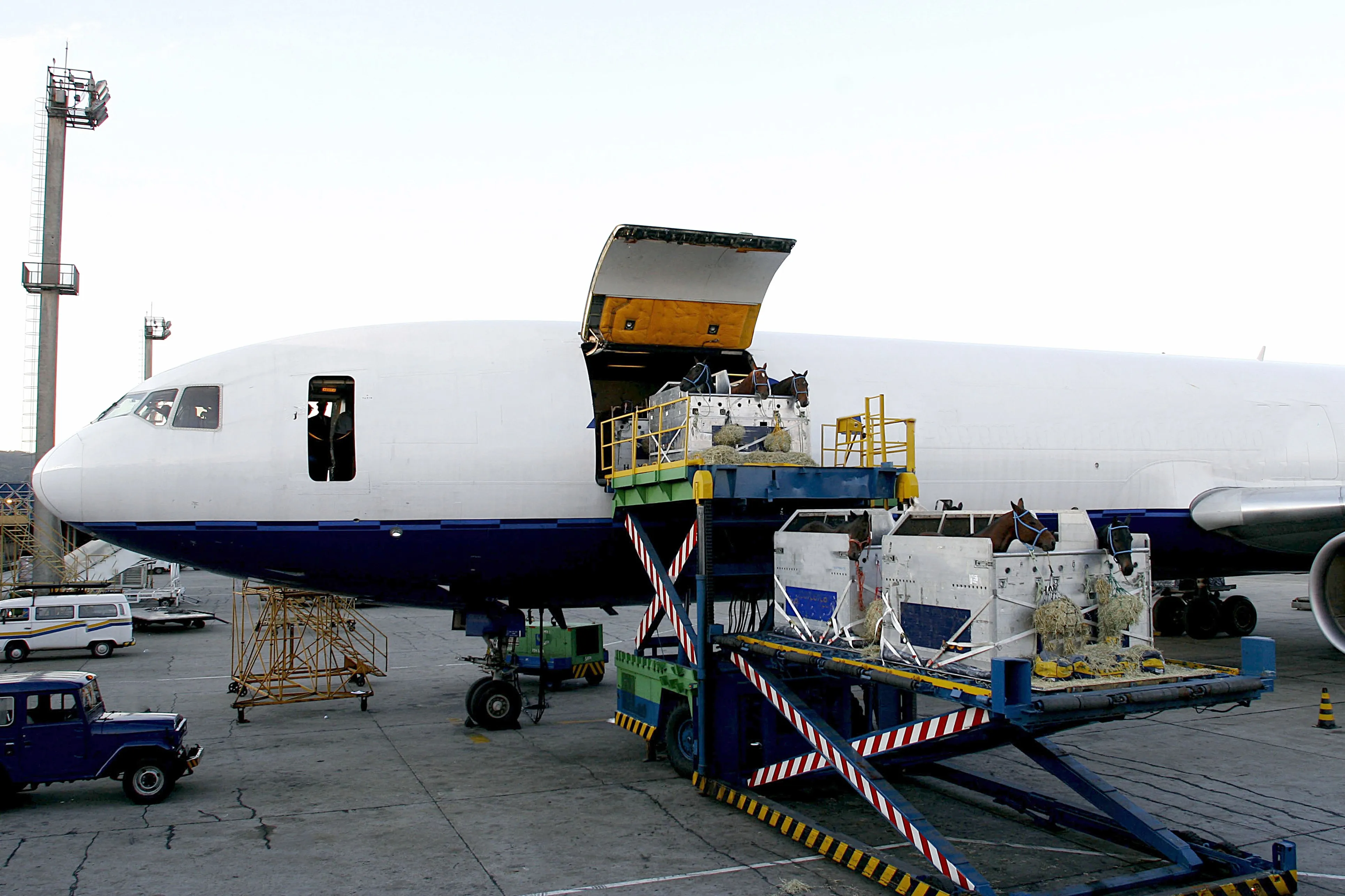 FBA DDP logistics sevices freight forwarder LCL agent air shipping