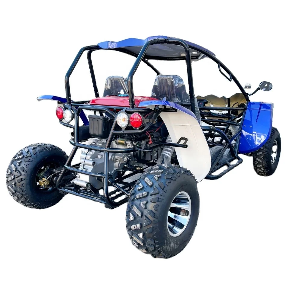 LNA deluxe details 300cc go kart car prices