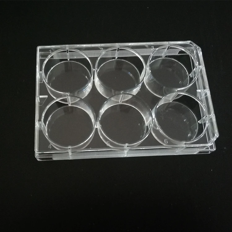 Disposable Lab Product  6 wells Cell Culture Plate
