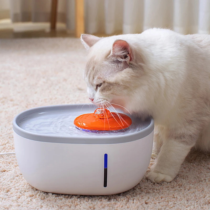 2022 self-dispensing gravity automatic family pet dog cat food feeder and  water dispenser set