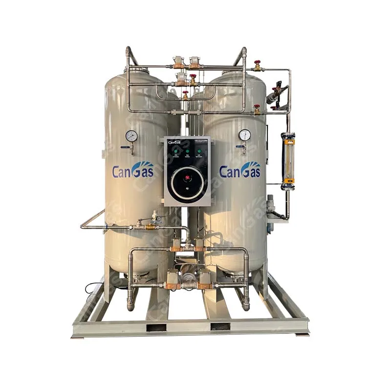 Ozone and water treatment onsite PSA oxygen generator