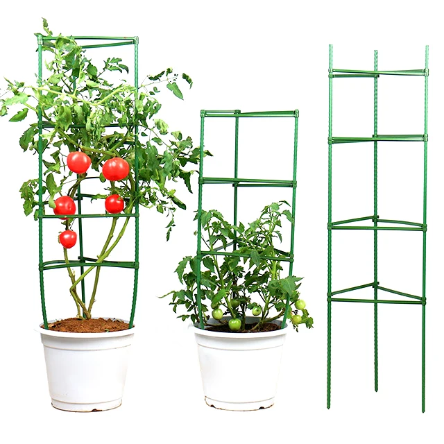 Factory Wholesale Collapsible Colorful Tomato Cage Collapsible for Garden Greenhouse