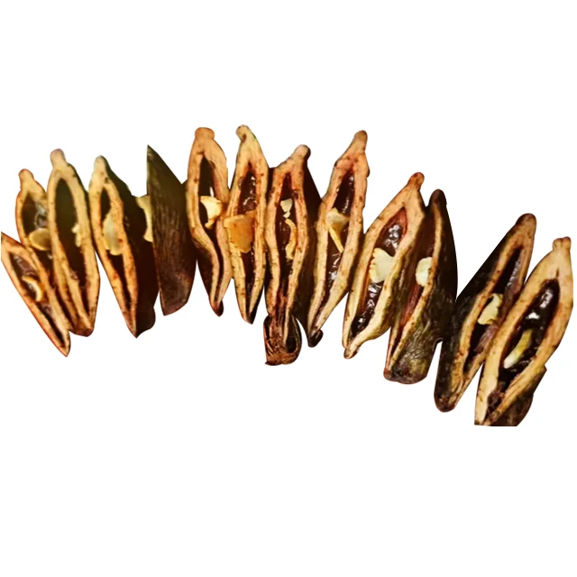 Высококачественная гайка betel/сушеная betel из Китая Горячая продажа