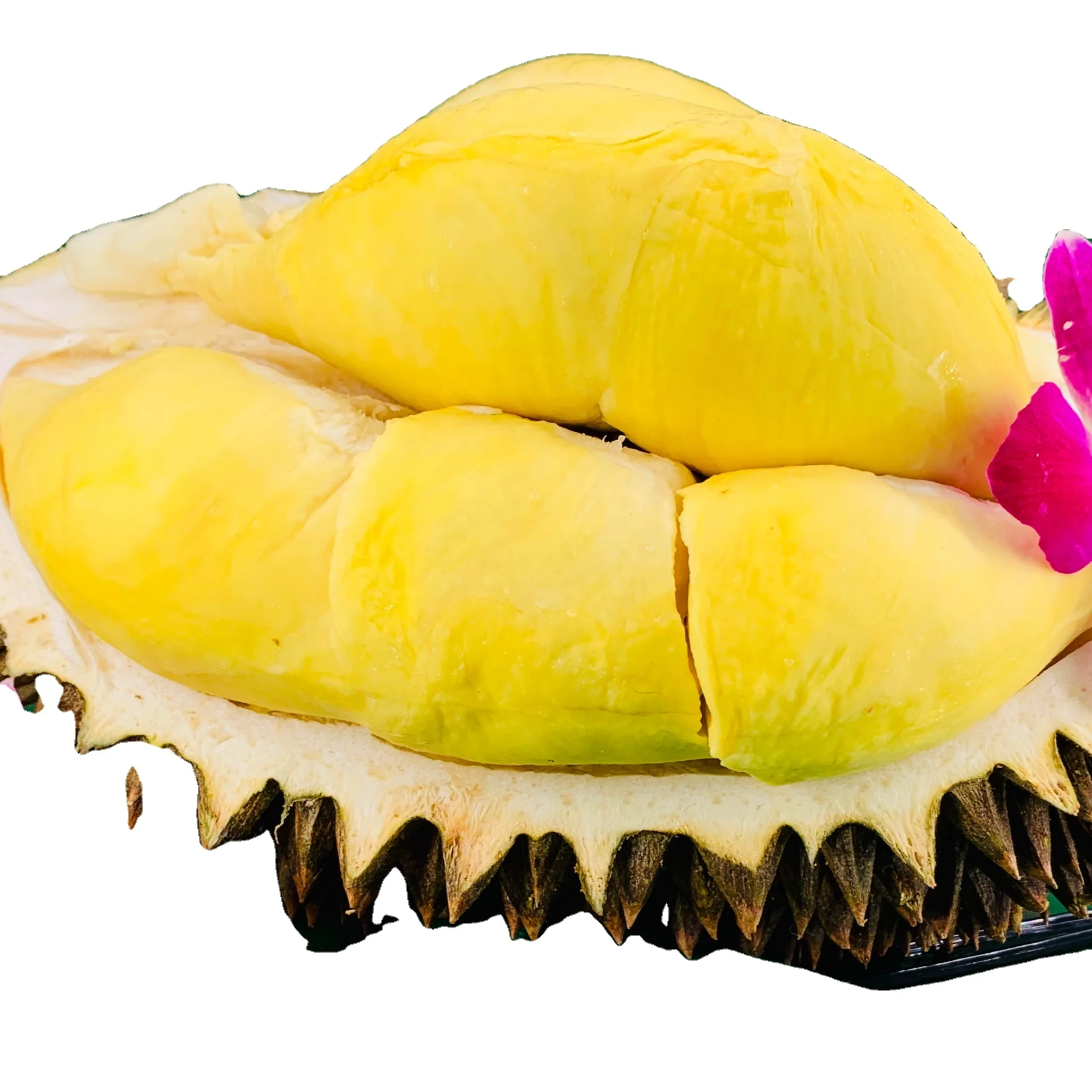 
Premium Quality from Thailand Whole Frozen Durian Grade A 