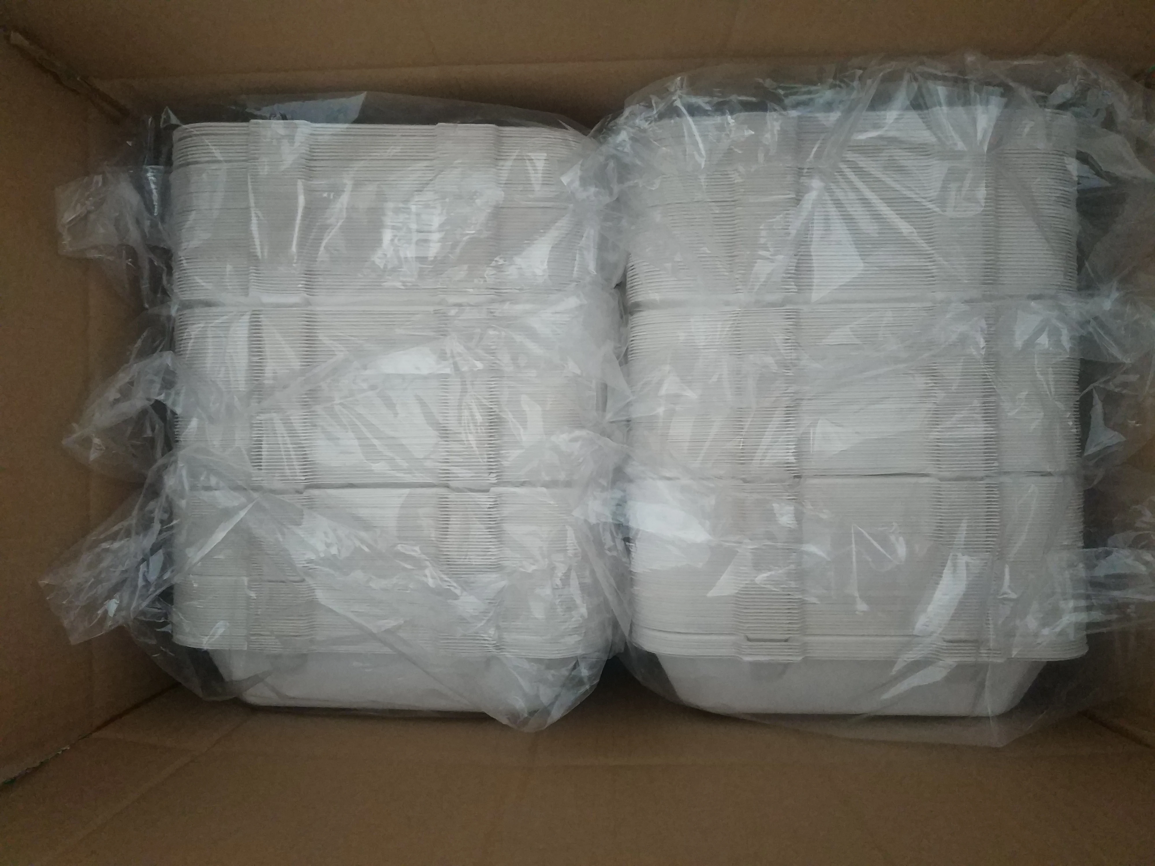 Biodegradable White Bagasse 1000ml 9x6 Inch Takeout  Food Container