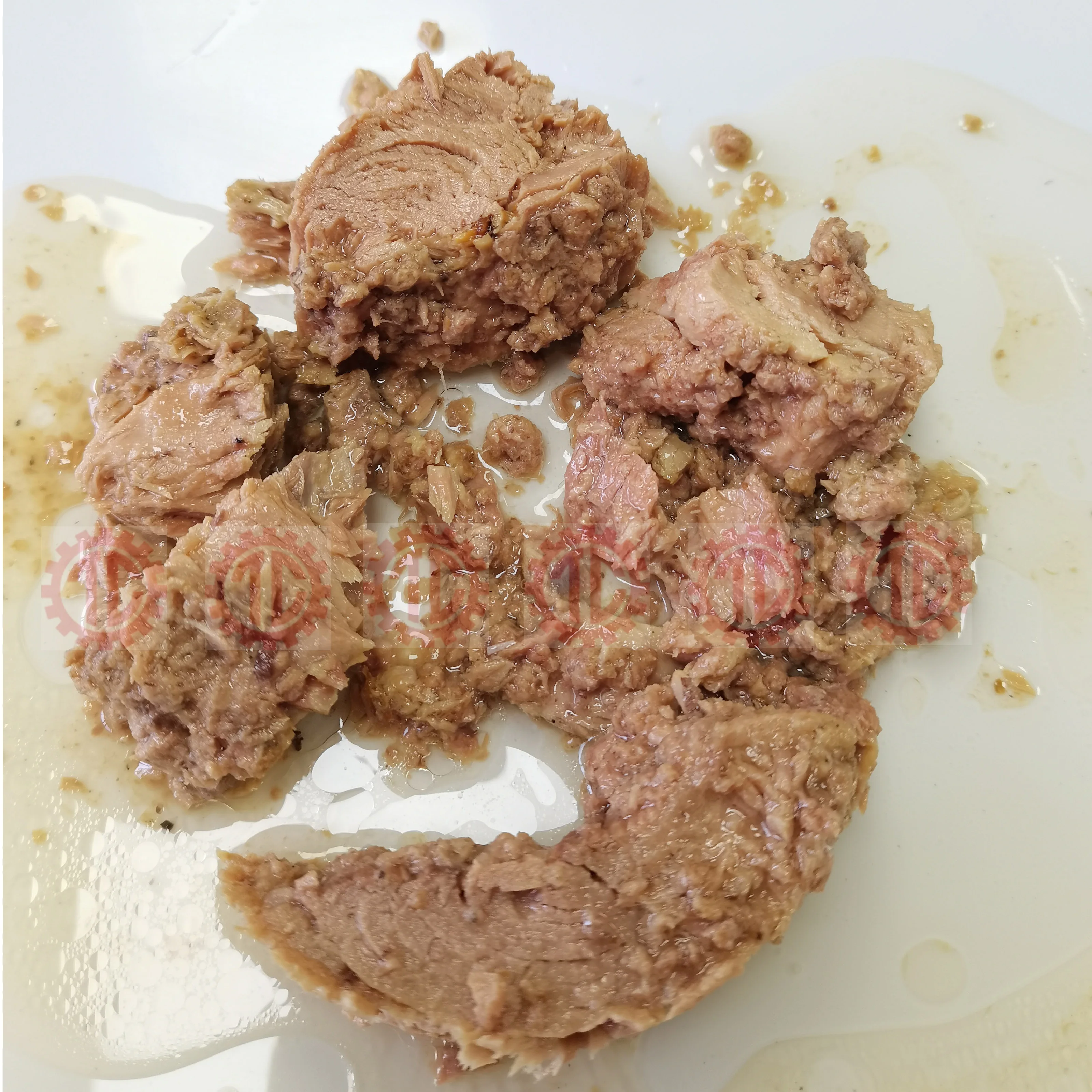 Canned Tuna Fish In Oil 160g 185g Producer