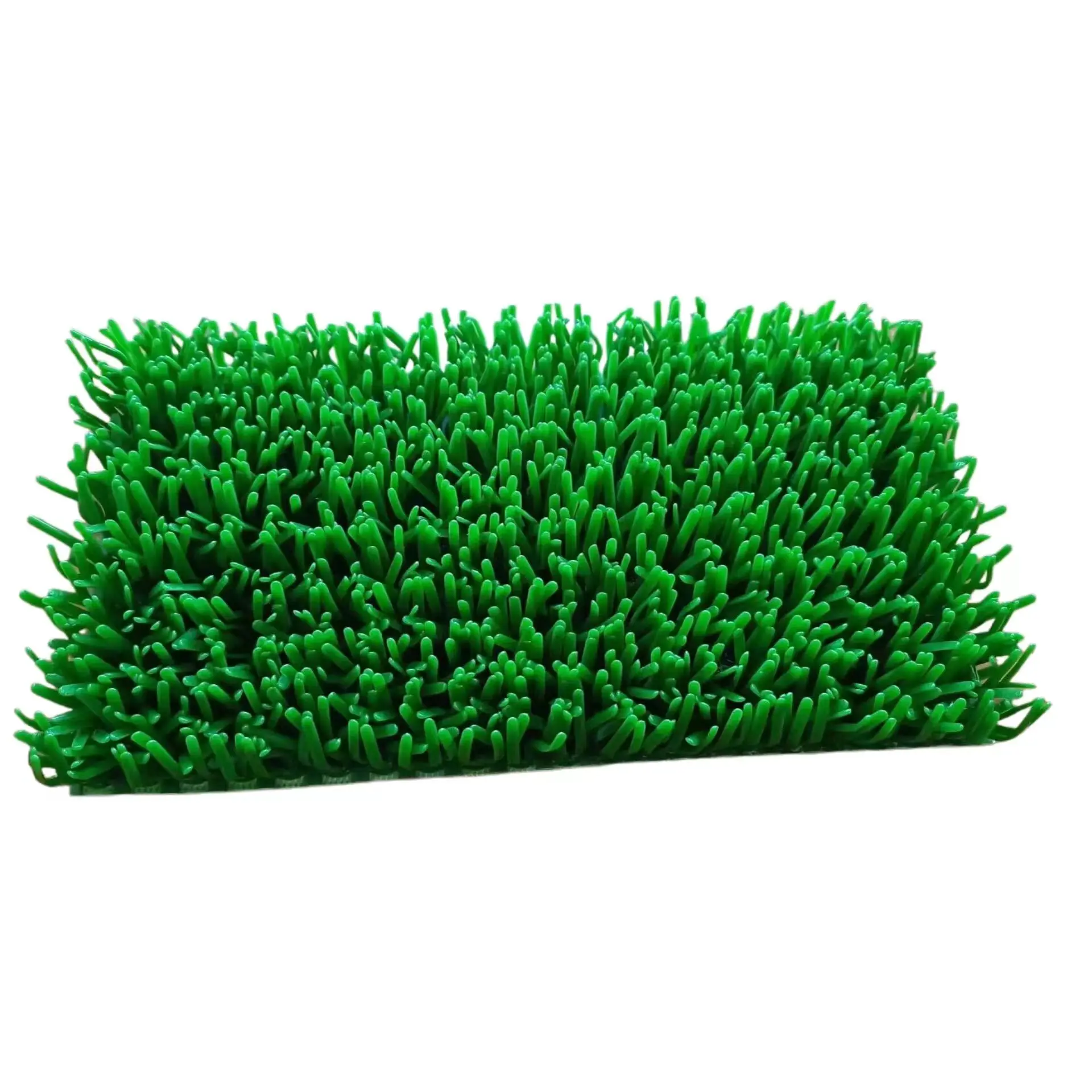 Gold rush grass, gold grass, thickened gold blanket, gold trough, green sticky gold grass