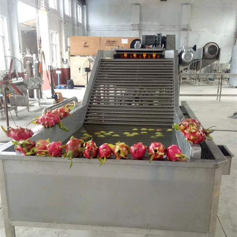 
fruits and vegetables cleaning and drying line Pitaya Fruit Bubble Washing Machine 