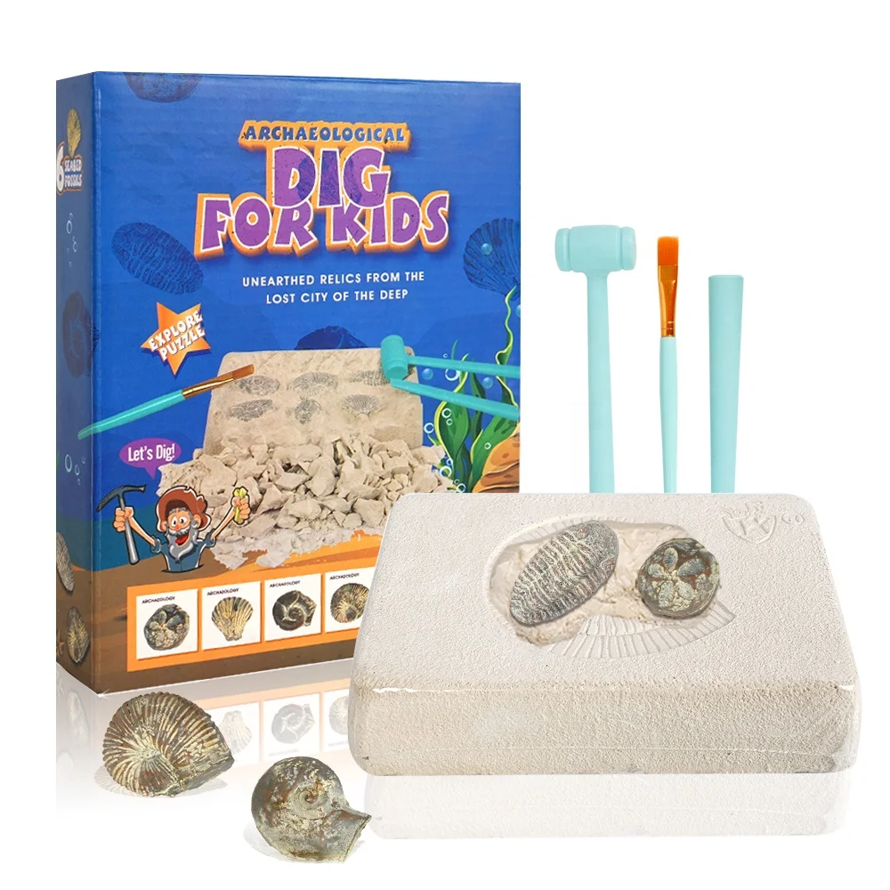Educational STEM Science Toys Gifts  Dig Up 6 Real Paleontology Fossils Digging Activities Kits for  Kids Ages 6+
