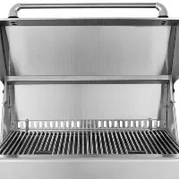 Bbq Kamado Smoker Burning Stove Ceramic Grill Wood  Gray Time Lead Flame Baking