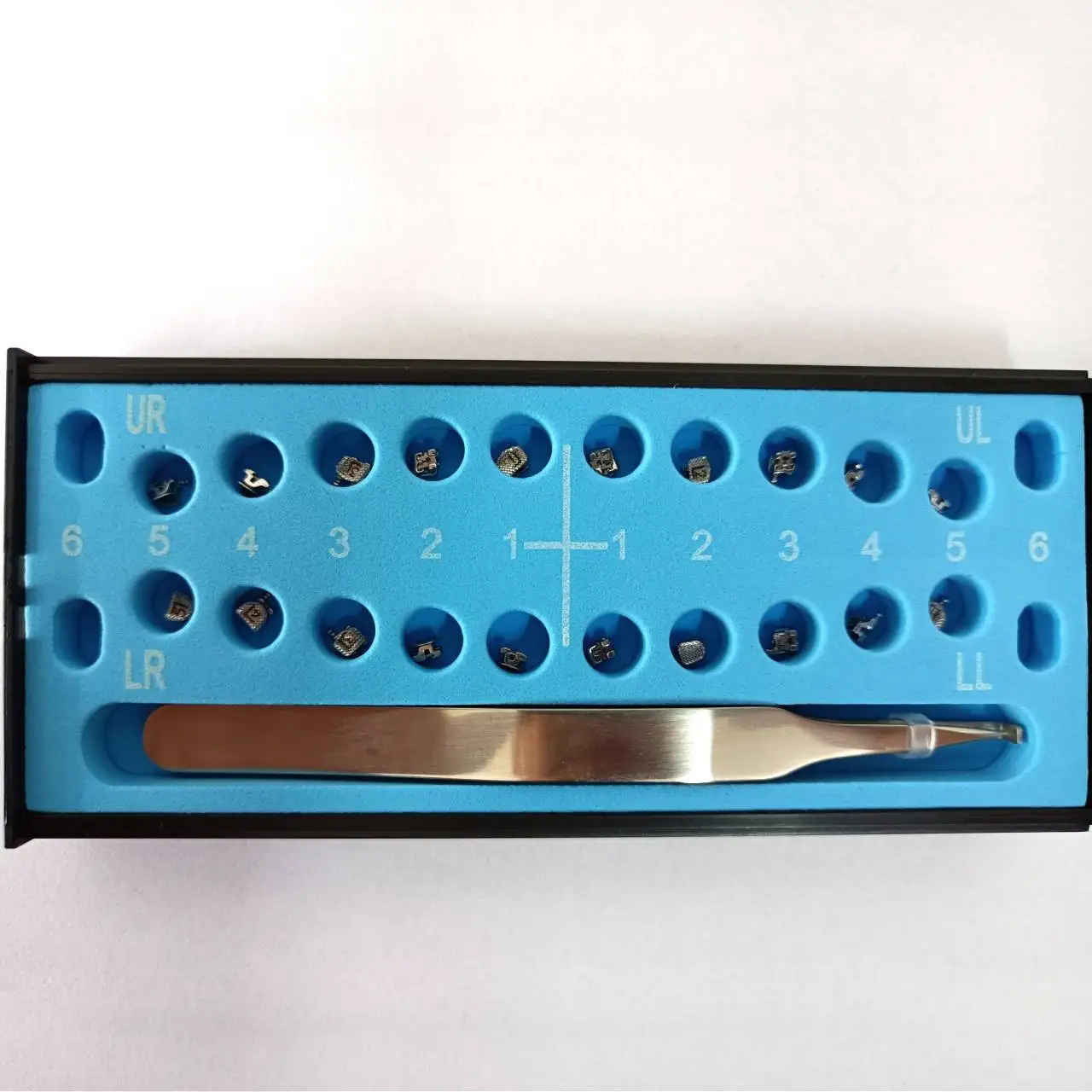 Hot Selling Orthodontic Demonstration Teeth Educational Teeth Model Orthodontic Model Teeth for Dental Course