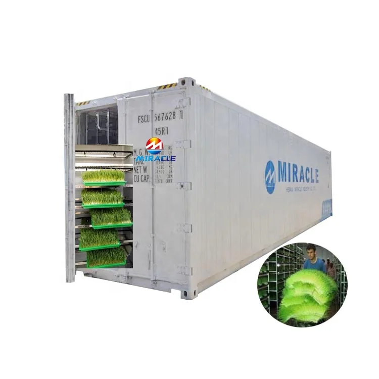 1.5 ton daily output seedling sprout machine barley fodder making machine for sheep caw green forage