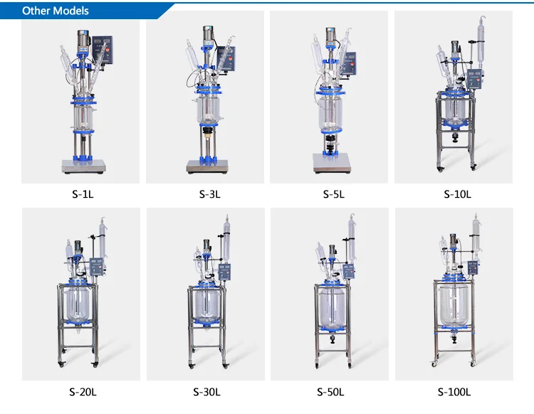 High Quality Frequency Control  Laboratory Double Jacketed Glass Reactor S212-1L