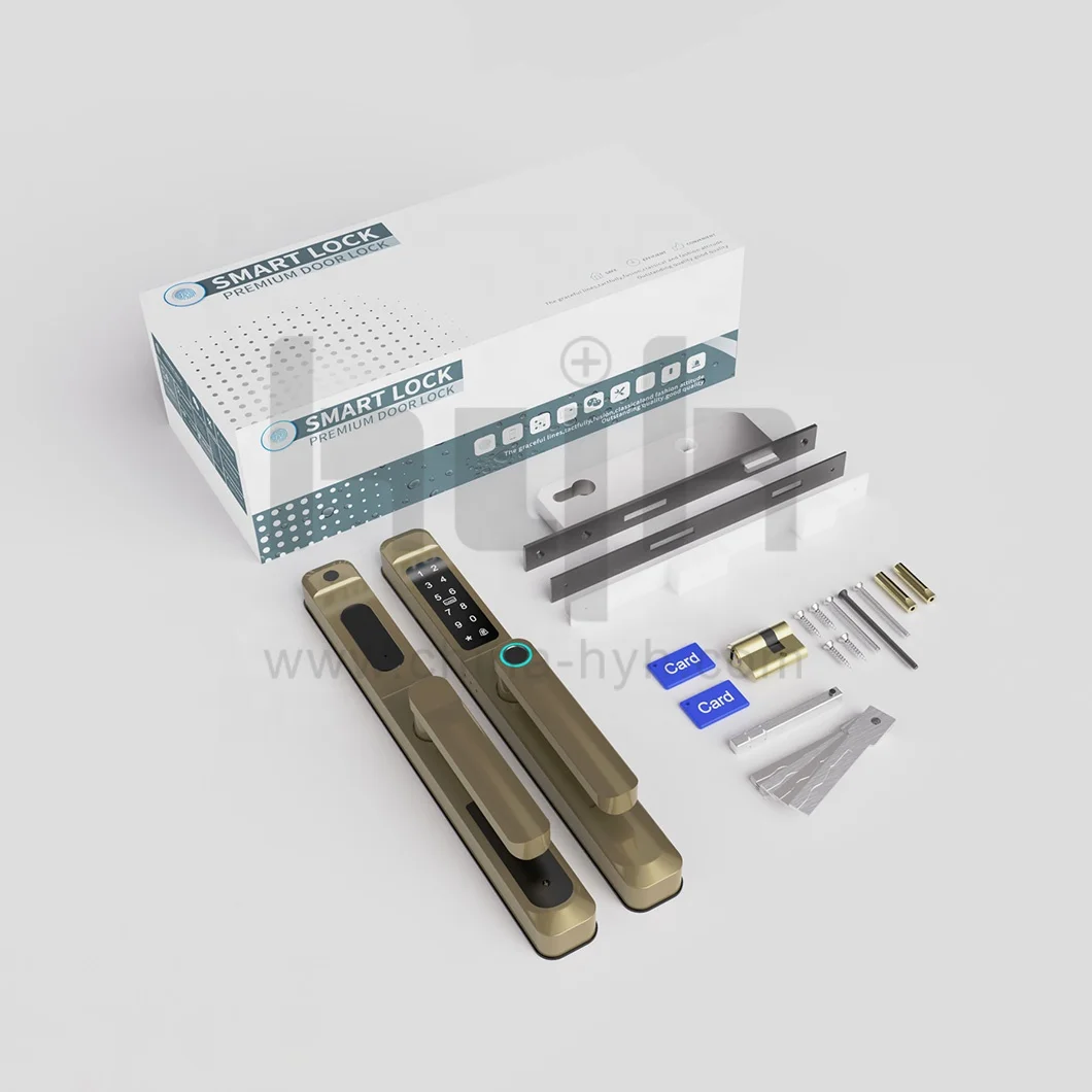 Guangdong-hyh Hardware Factory Price Digital Fingerprint Tuya APP Wifi Smart Lock For Entry Doors